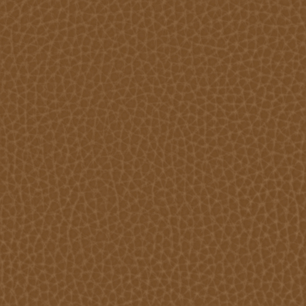 Real Time Material-Leather