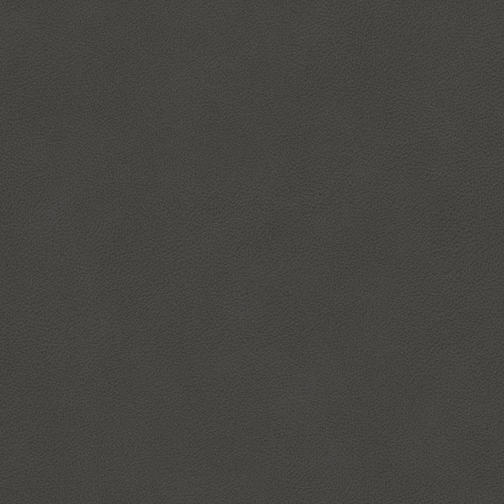 Real Time Material-Leather