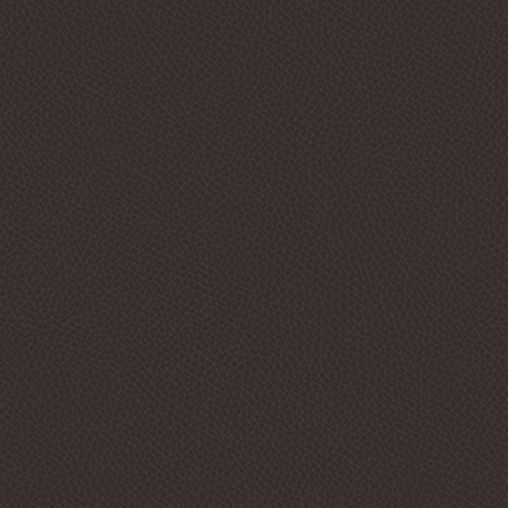 Real Time Material-Leather