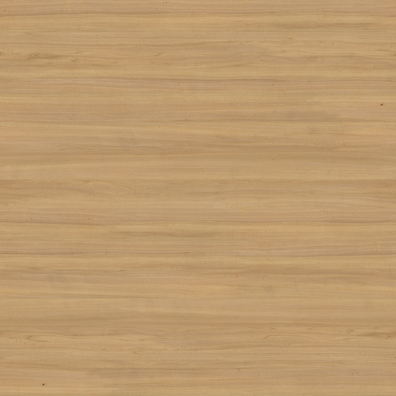 High Gloss Wood Grain 3D Model in Brown