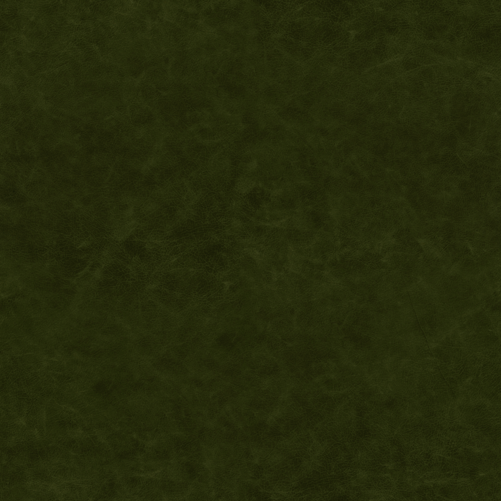 Real Time Material-Leather