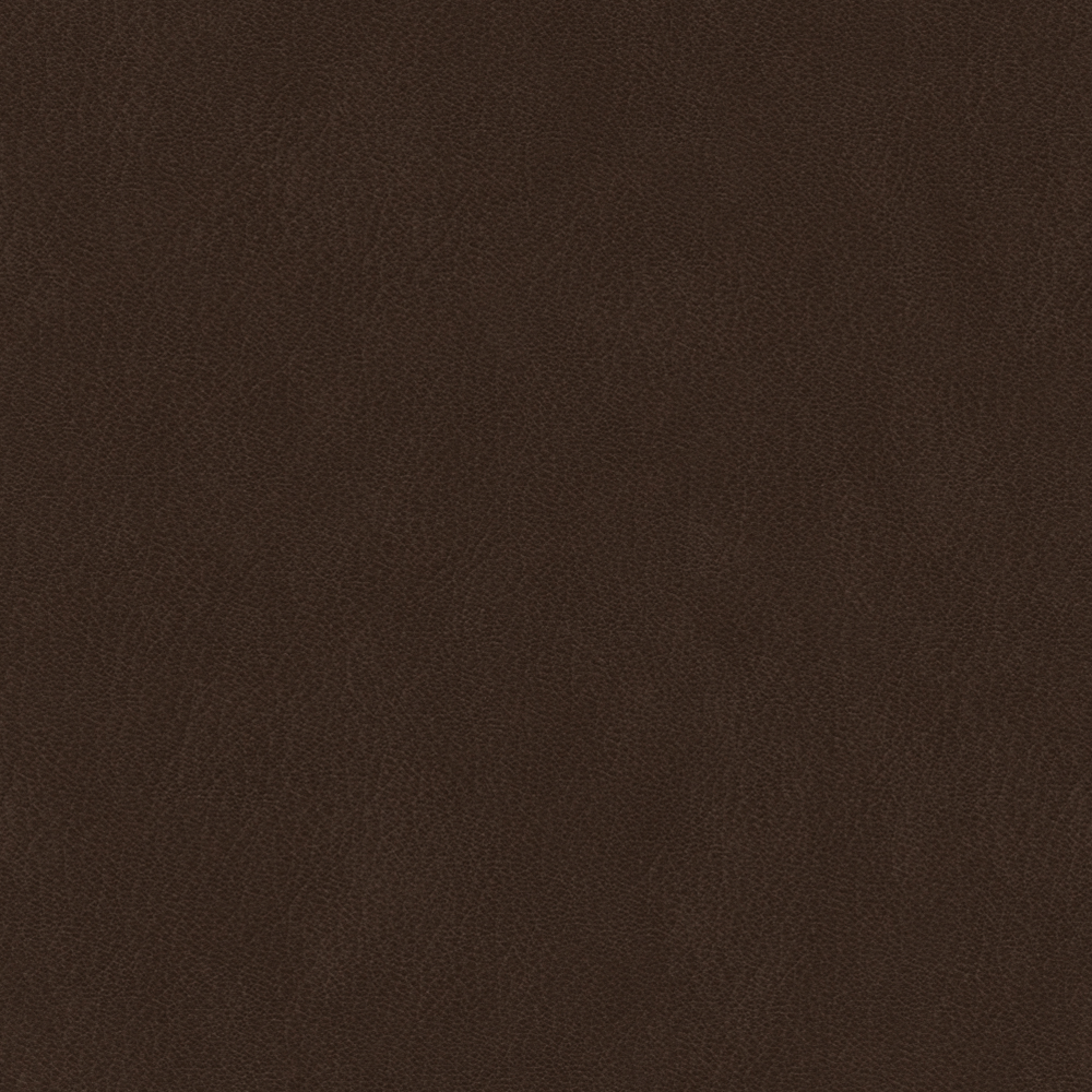 Real Time Material-Leather