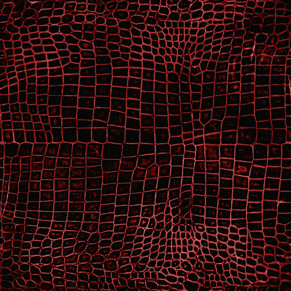 Real Time Material-Leather