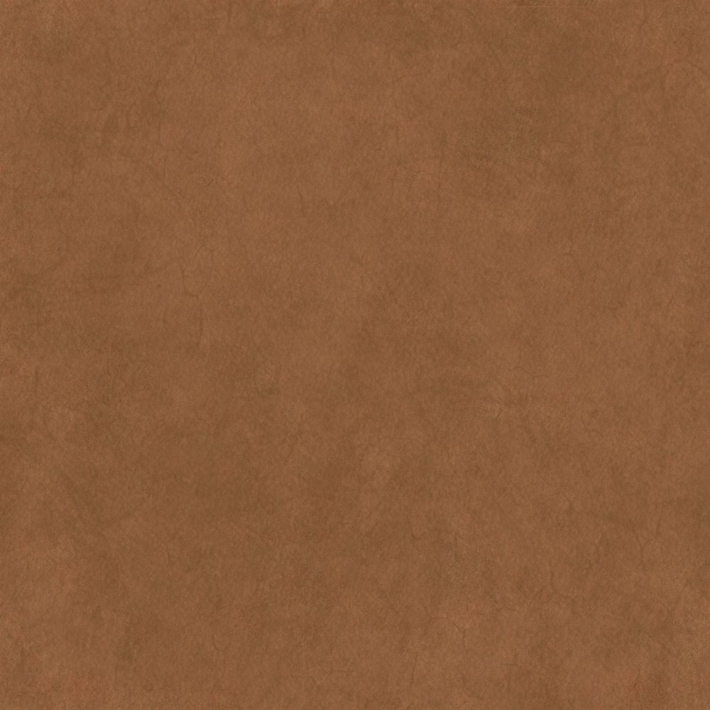 Real Time Material-Leather