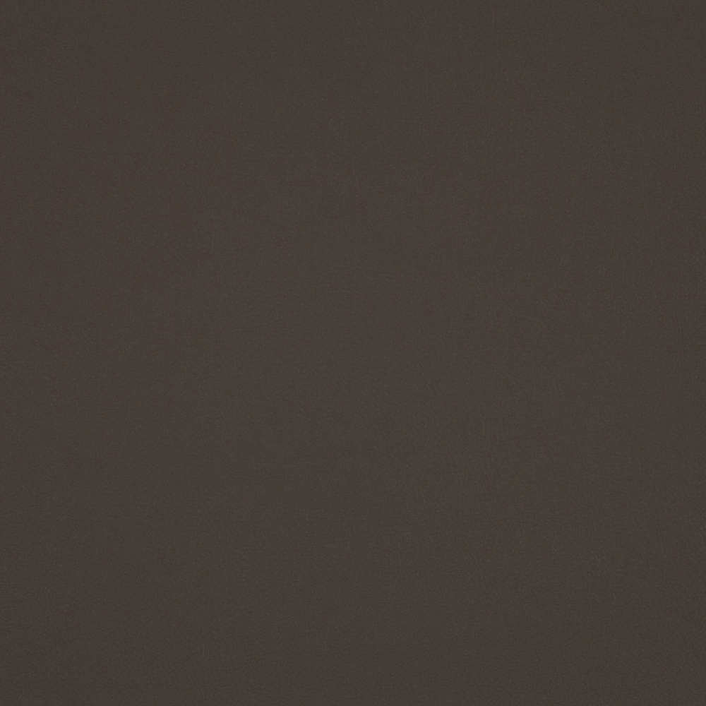 Real Time Material-Leather