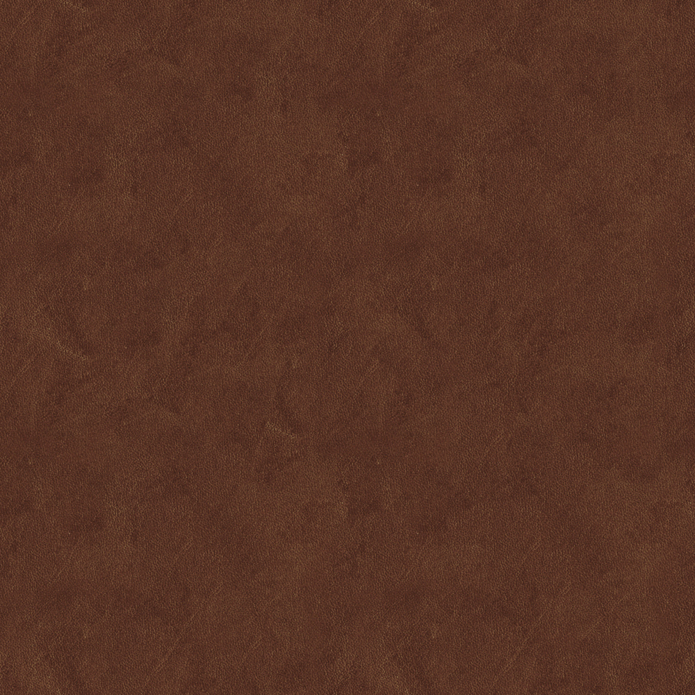 Real Time Material-Leather