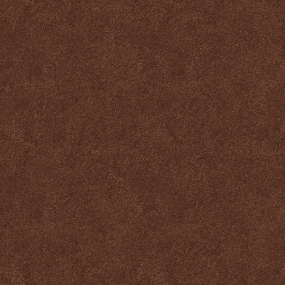 Real Time Material-Leather