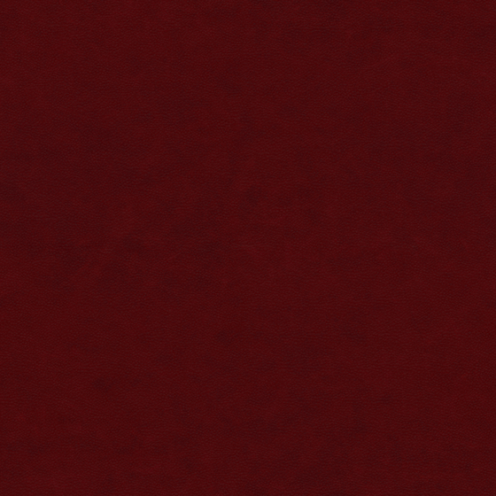 Real Time Material-Leather