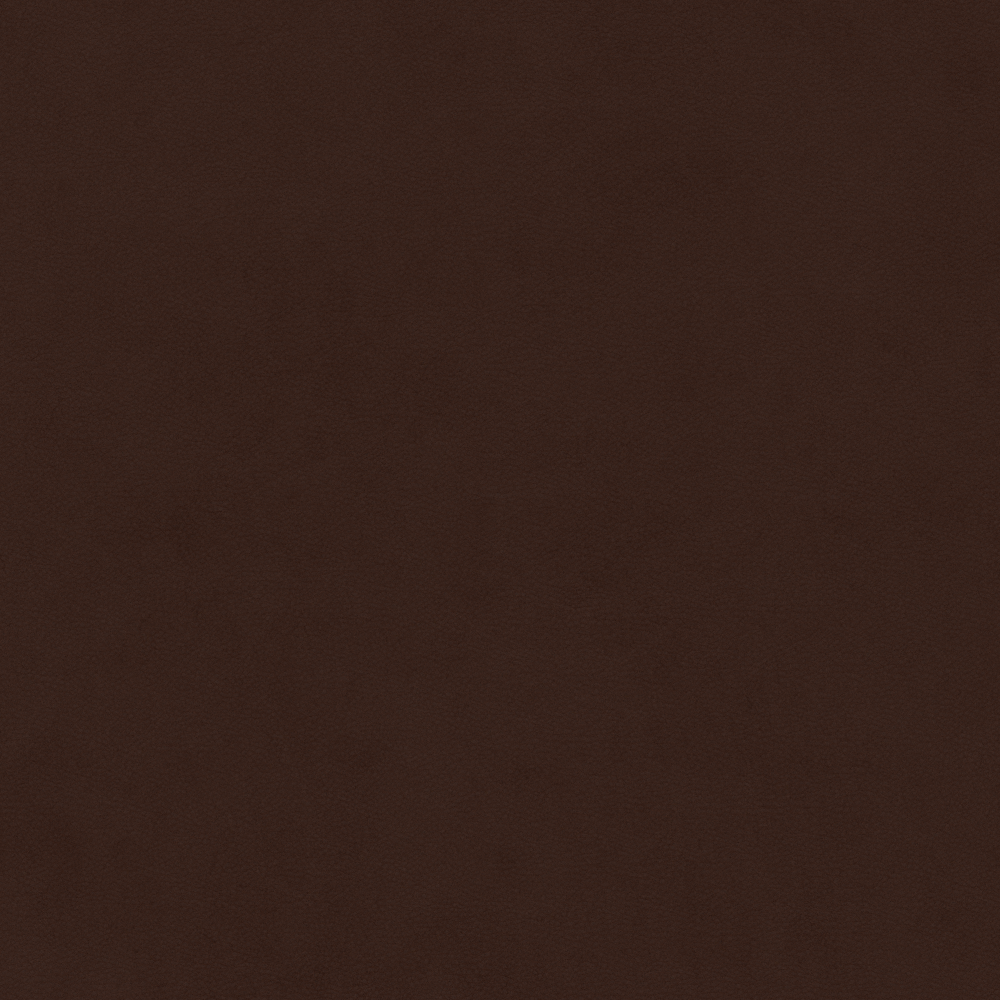 Real Time Material-Leather