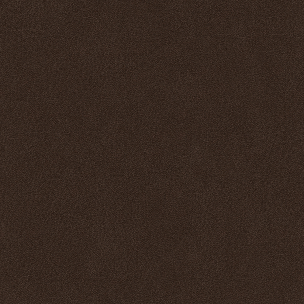 Real Time Material-Leather