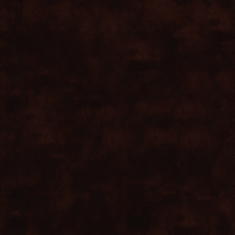 Real Time Material-Leather