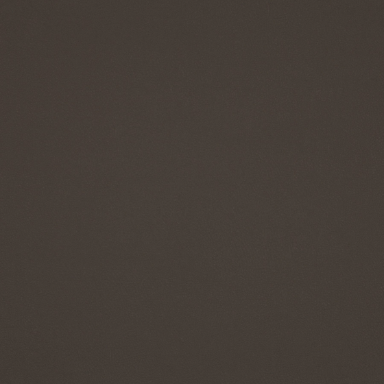 Gracious Gray Leather Material for Interiors