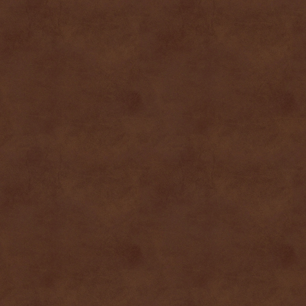 Real Time Material-Leather