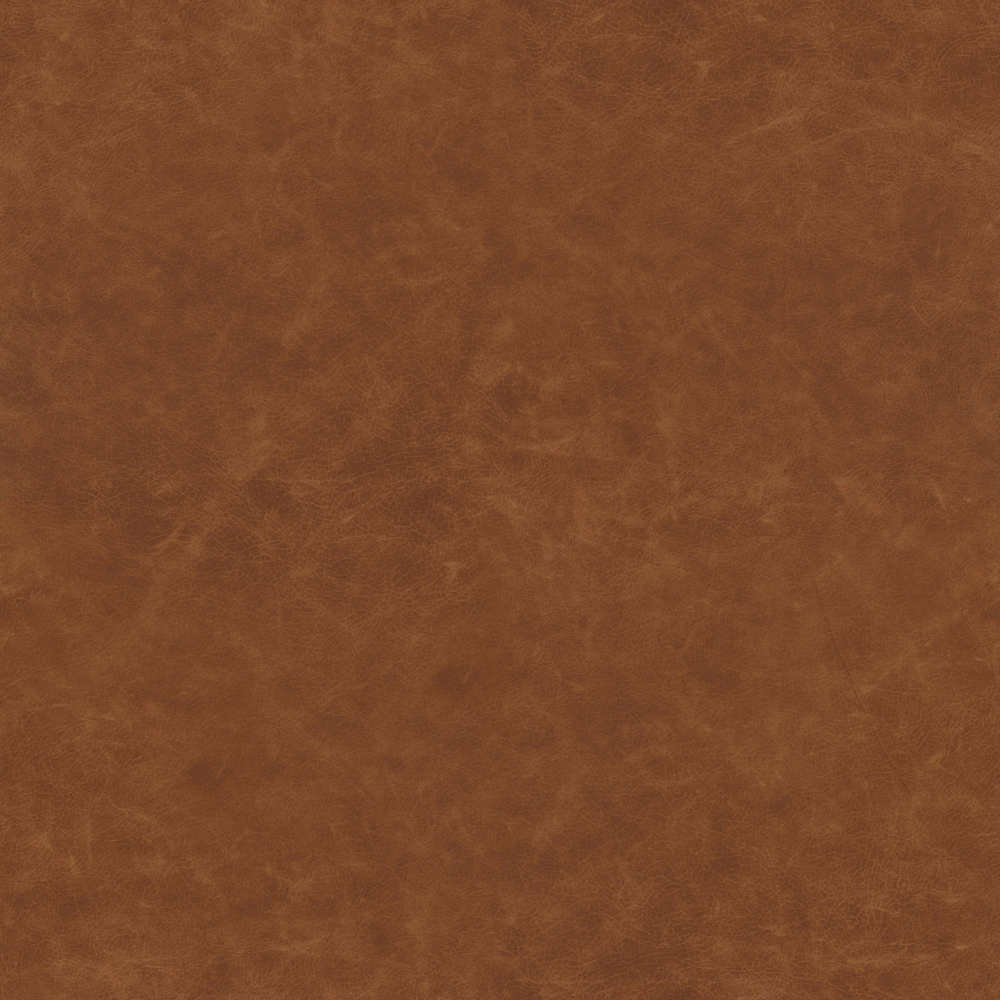 Real Time Material-Leather