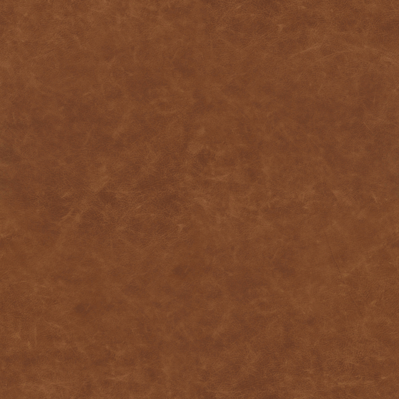 Real Time Material-Leather