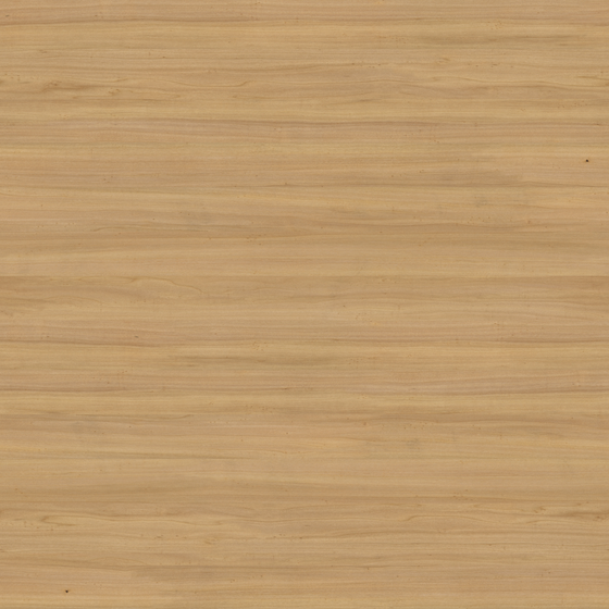 Real-Time Matte Wood Grain 3D Model in Rich Brown