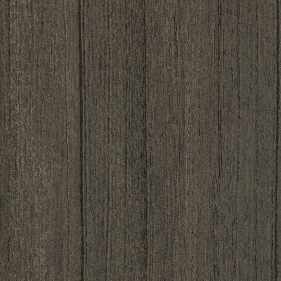 European Silver Oak in Gray