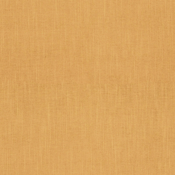 Real-Time Fabric Material 3D Model in Wood Color