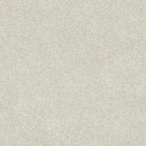 Wall paints/coatings