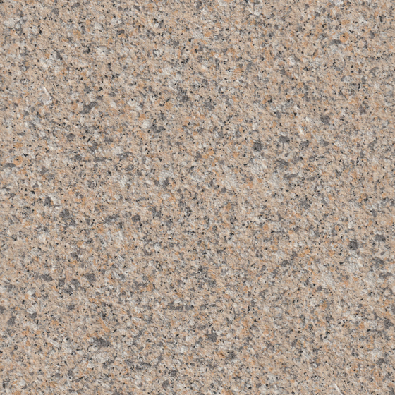 Wall paints/coatings