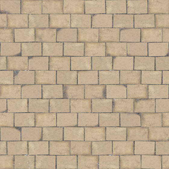 Rustic Brown Blue Brick 3D Model