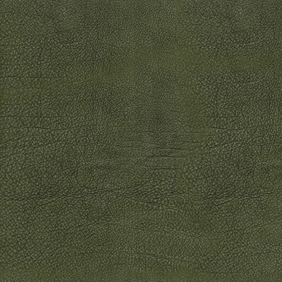 Refined Brown Fine-Grained Leather Model