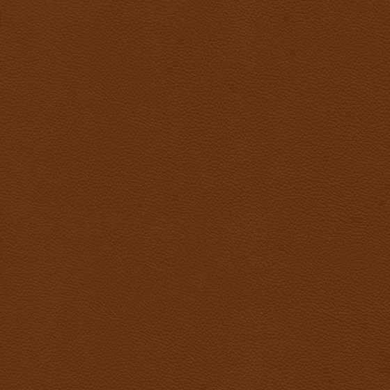 Brown Rough Leather Material 3D Model