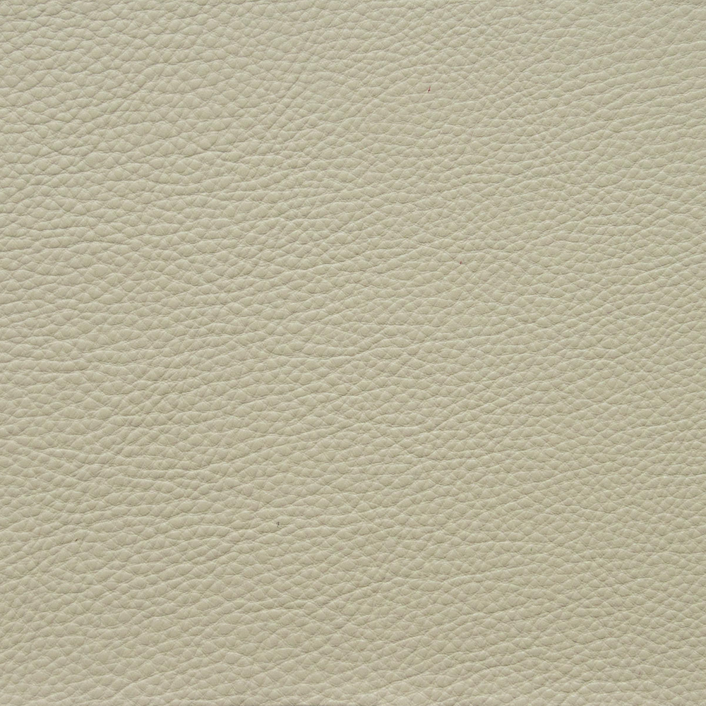Cream colored leather texture with pebbled grain pattern and smooth surface finish on white background