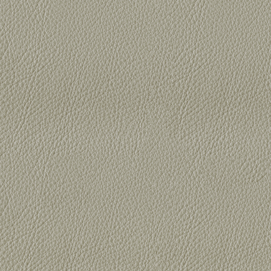 Gray Rough Leather Material 3D Model
