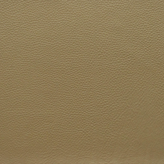 Rough Green Leather Texture 3D Model for Commercial Use