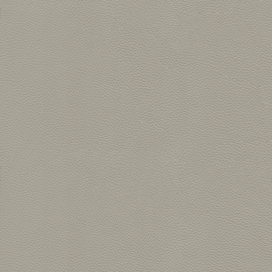 Rough Leather 3D Model in Gray