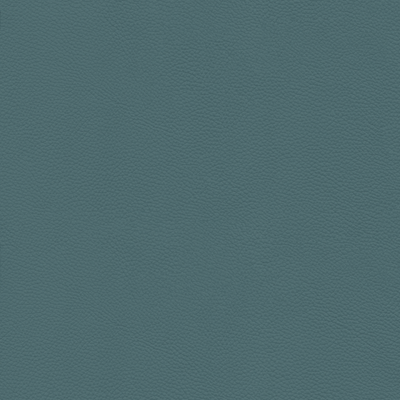 Gray Rough Leather Material