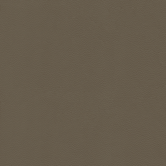 Rough Leather Texture in Gray