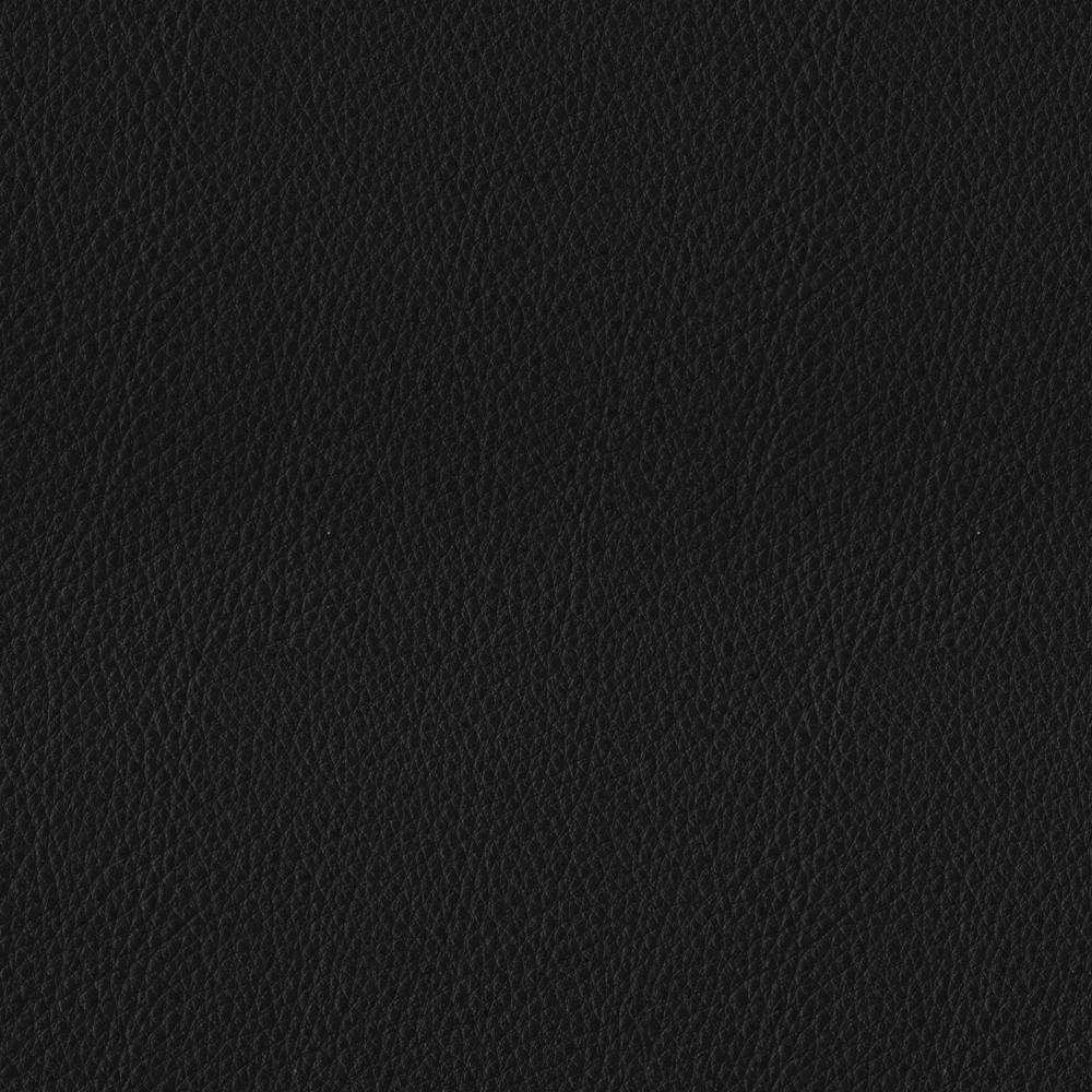 Close up of black leather material with natural grain texture on black background
