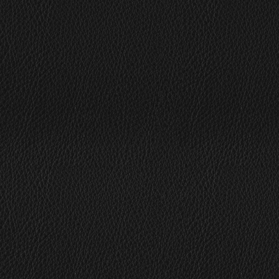 Close up of black leather material with natural grain texture on black background