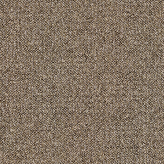 Office Carpet Tufted Carpet 3D Model in Brown