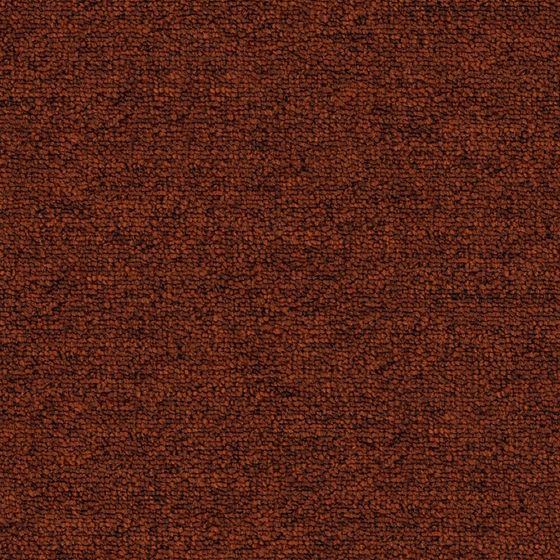 Tufted Carpet 3D Model in Brown for Office
