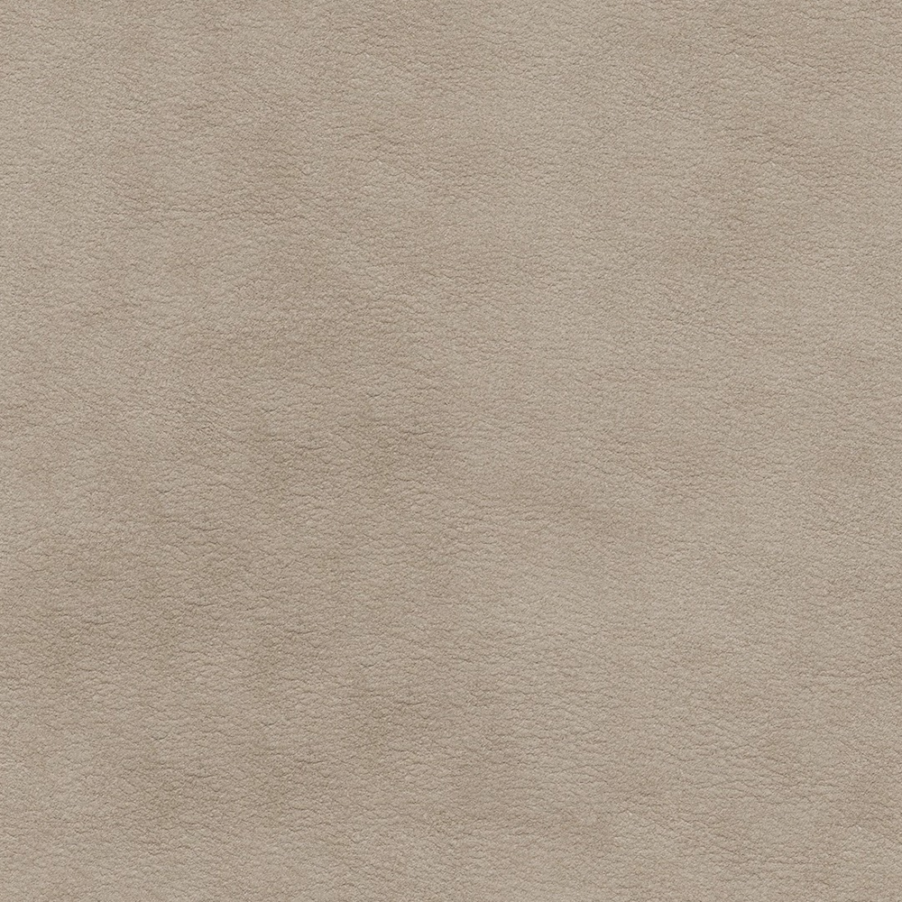 Light beige textured leather material surface with soft grain pattern on white background