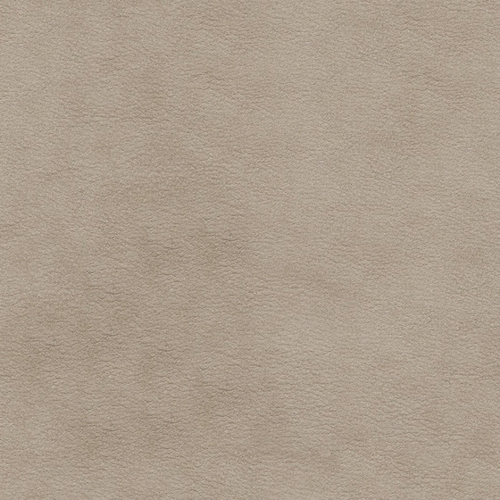 Gamma Fine Grain Leather Material 3D Model in Gray