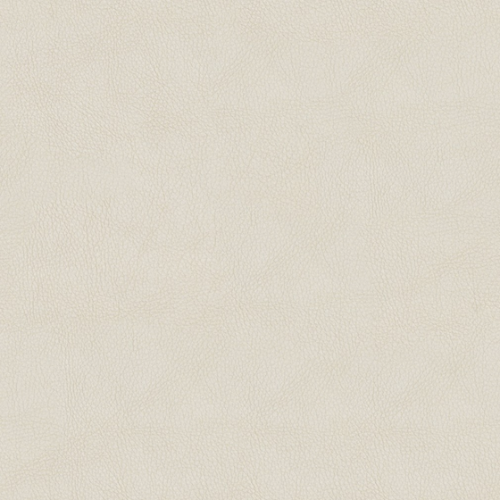 Fine-Grained Leather Material 3D Model in Earth Color