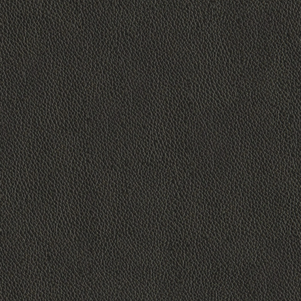 Imported Glacier Black Fine Grain Leather Material 3D Model