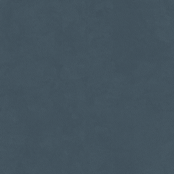 Gray Dark Blue Fine-Grained Leather 3D Model