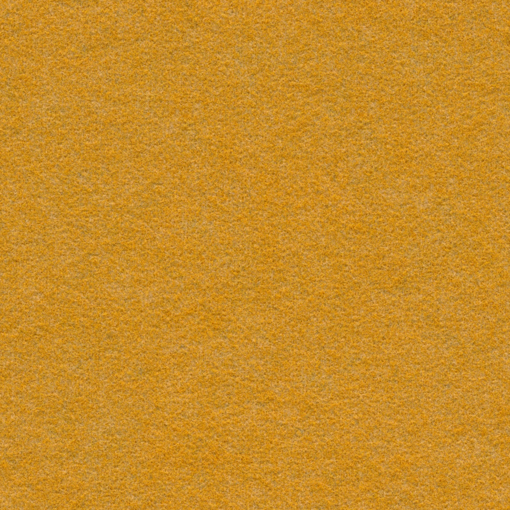 All Wool Carpet 3D Model in Orange