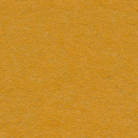 All Wool Carpet 3D Model in Orange