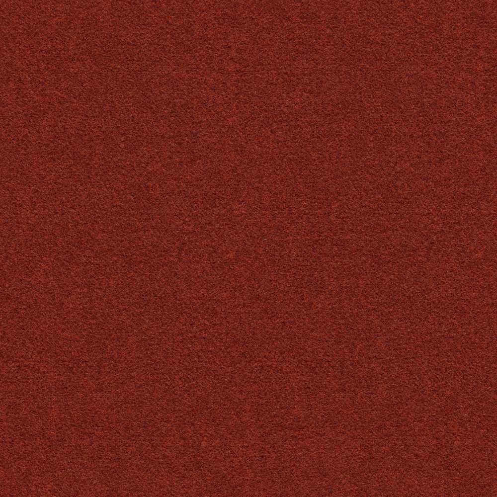 All Wool Carpet 3D Model in Brown