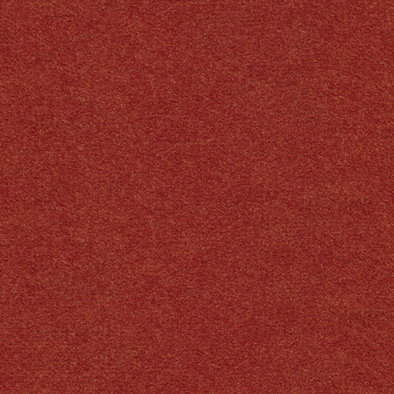 All Wool Carpet 3D Model in Brown