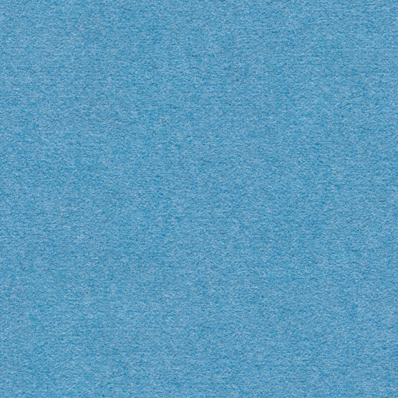All Wool Carpet 3D Model in Blue for Cozy Spaces