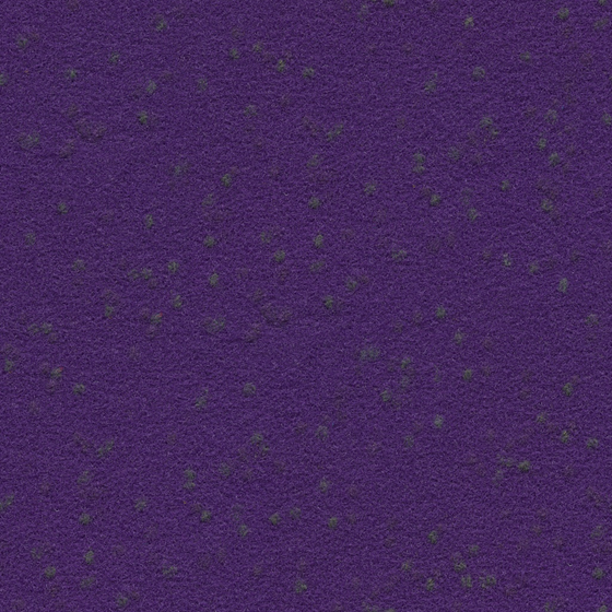 All Wool Carpet 3D Model in Purple