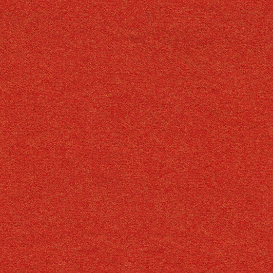 All wool carpet