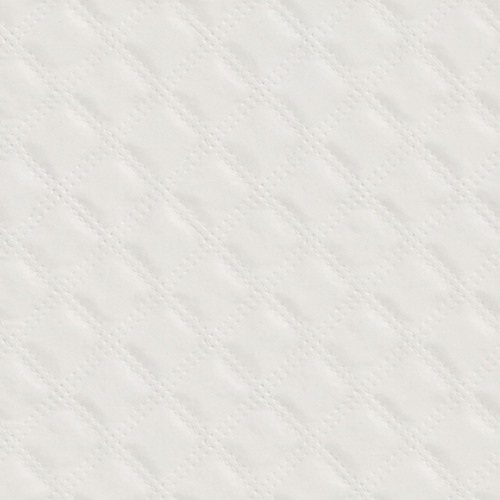 Leather Texture 3D Model in Earth Color